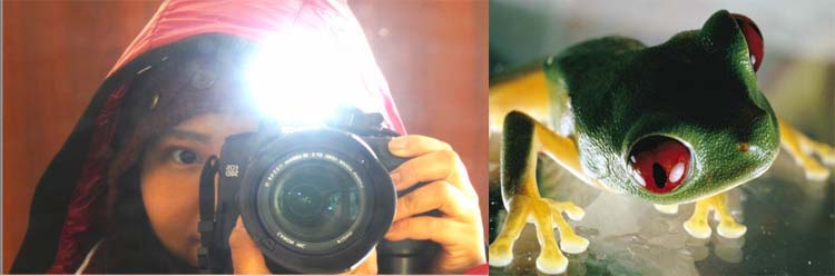 日本相機(jī)閃存技術(shù)消除閃光陰影和紅眼